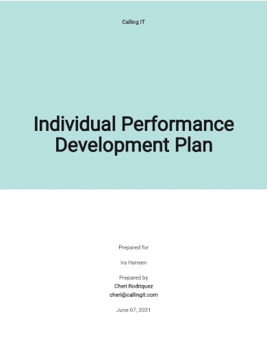 individual performance development plan template