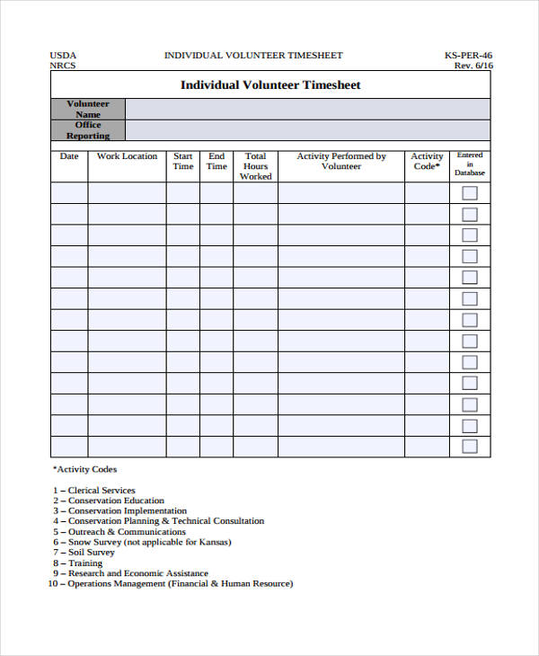 individual volunteer timesheet1