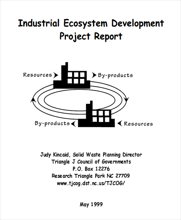 52+ Project Report Formats Word, PDF, Docs