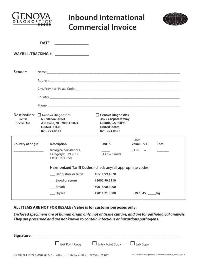 international commercial invoice template pdf page 001 788x1020