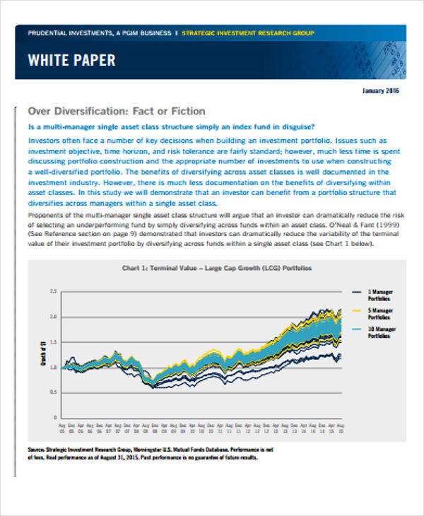 investment research white paper