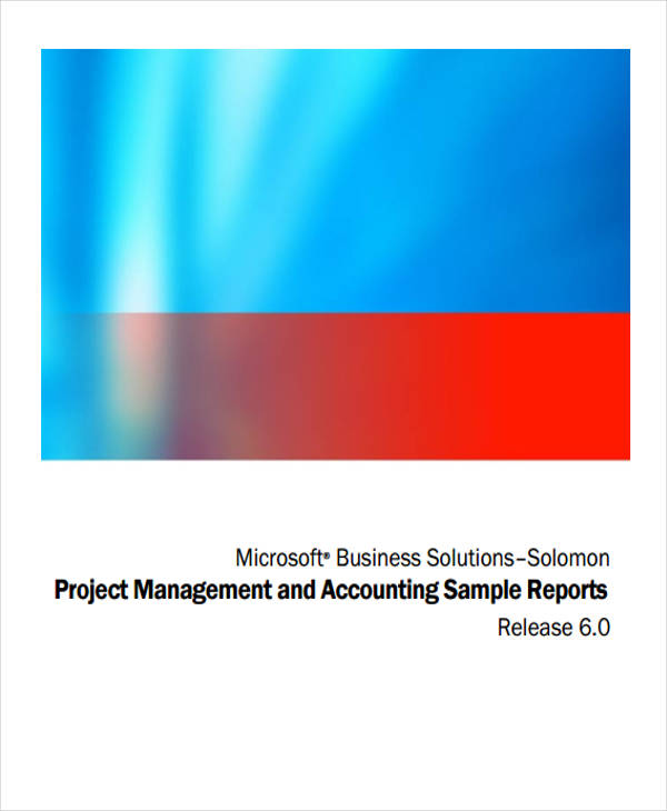 management report for project accounting