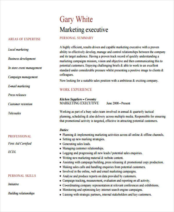 marketing executive cv