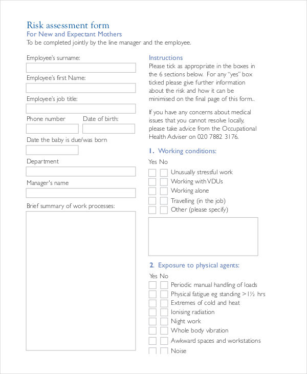 22+ Risk Assessment Forms in PDF