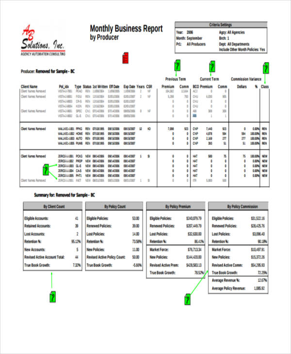 monthly business report example