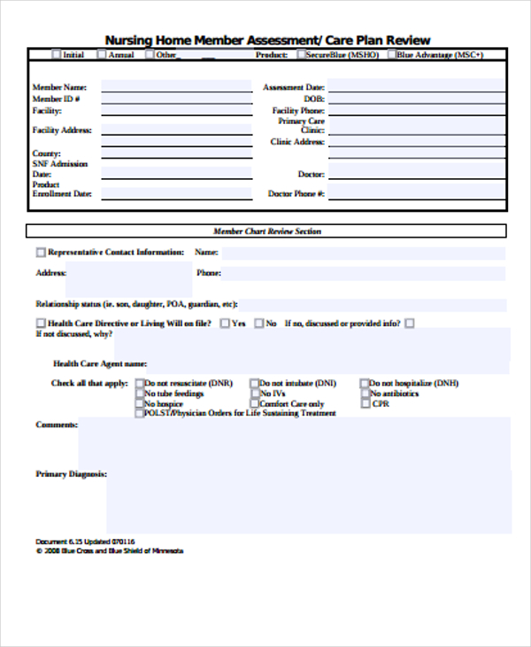 Nursing Home Care Plan Meeting Template