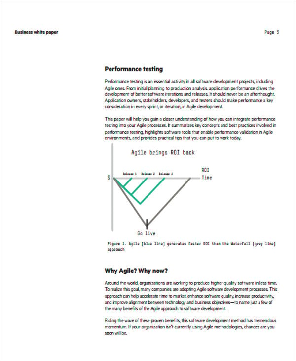 performance testing white paper
