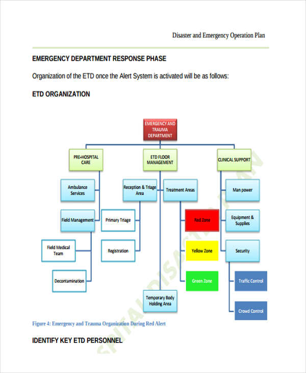 10+ Disaster Plan Templates Free Sample, Example Format Download