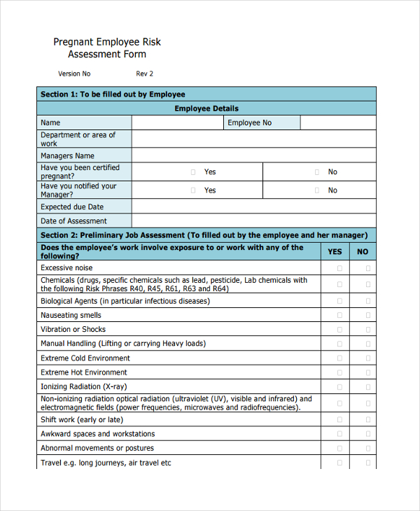 Hse Pregnancy Risk Assessment Form