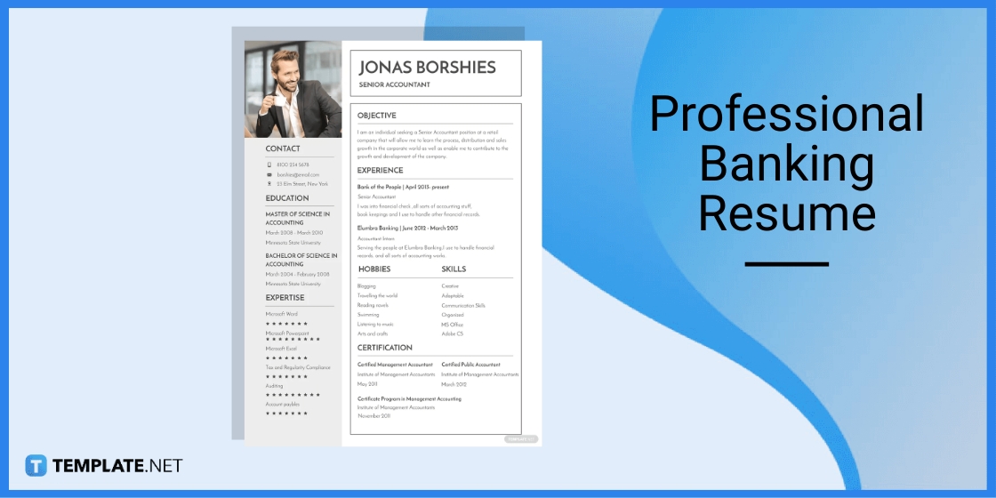 professional banking resume template