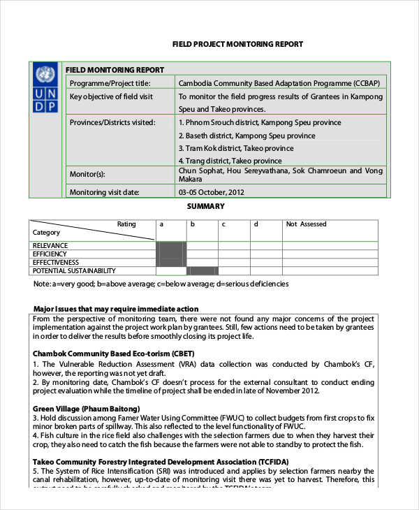 project monitoring report