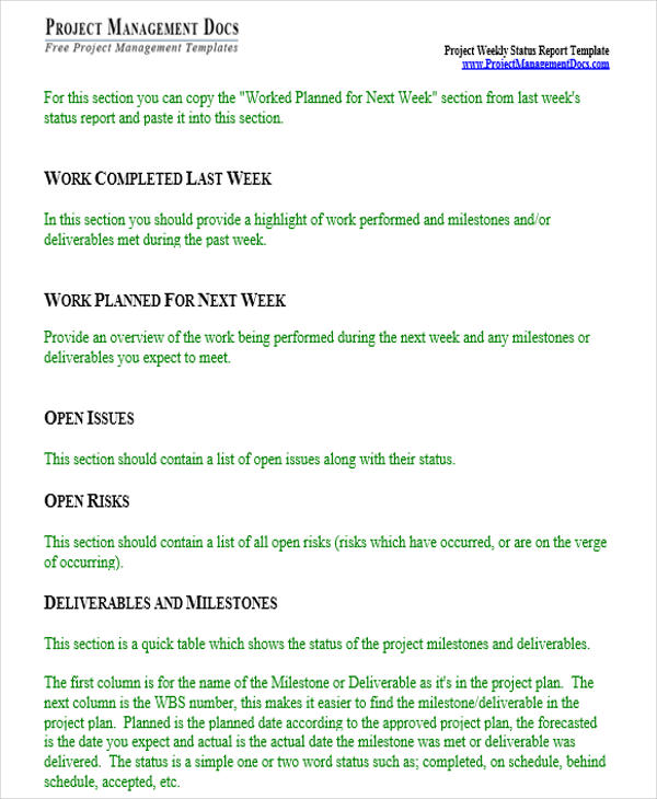 29+ Weekly Report Templates in Word