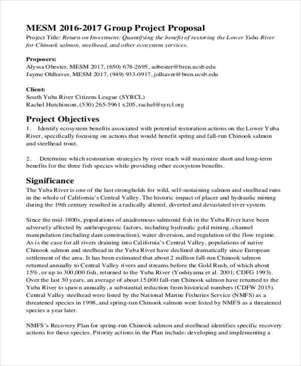 11+ Group Proposal Templates - Free Sample, Example Format Download