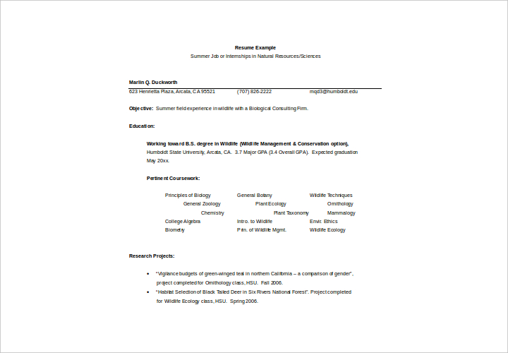 resume-format-for-internship