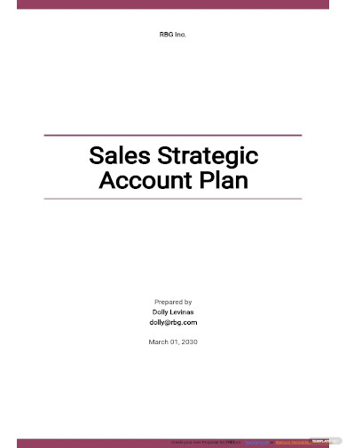 10 Strategic Account Plan Templates Free Sample Example Format Download Free And Premium 4534