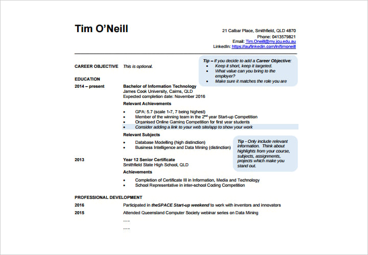 sample-it-professional-resume