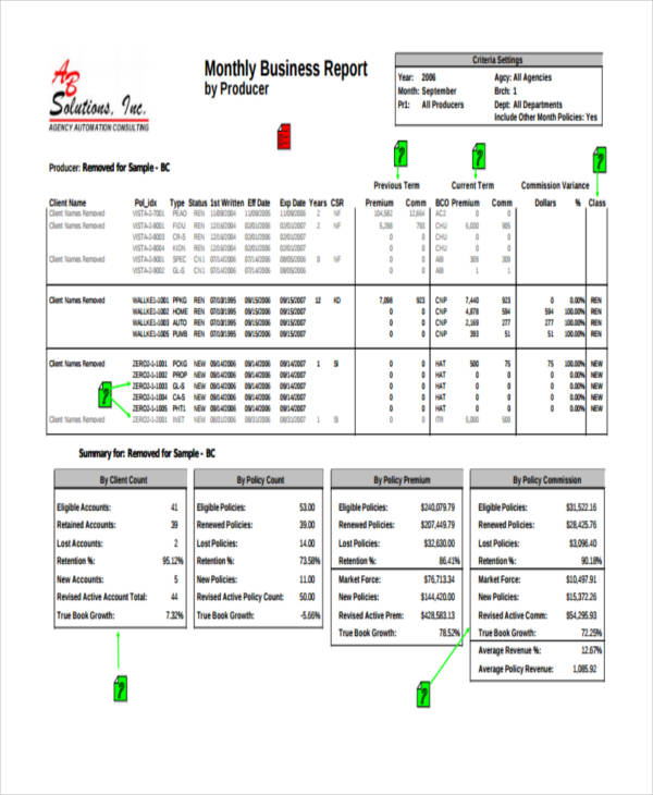 sample monthly business report