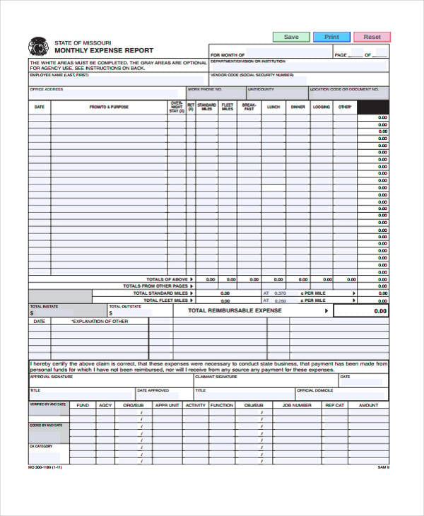 sample monthly expense report