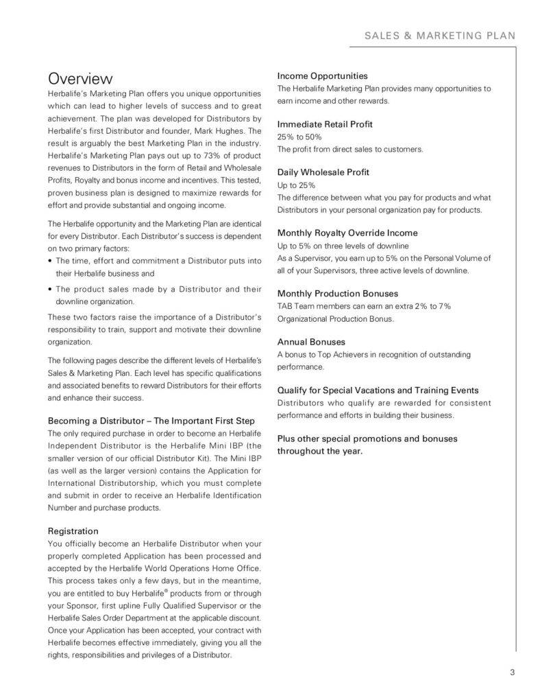 sample sales and marketing plan template page 002 788x1020