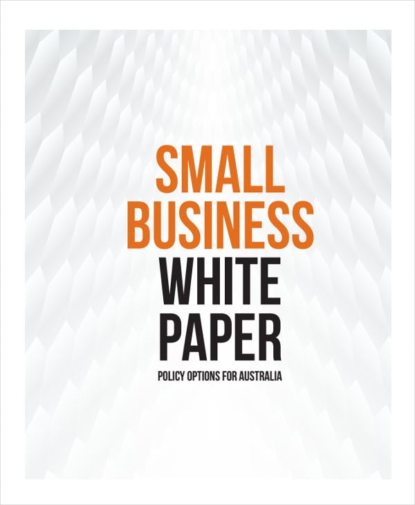 small business white paper2