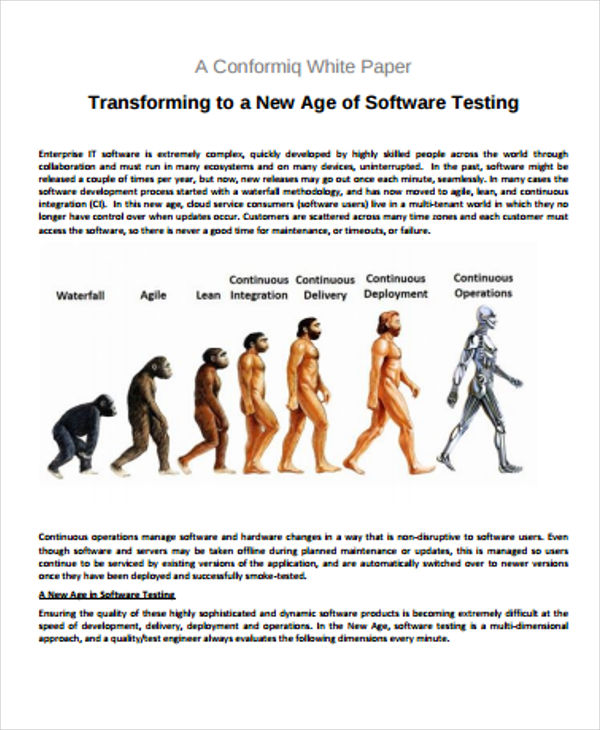 software testing white paper