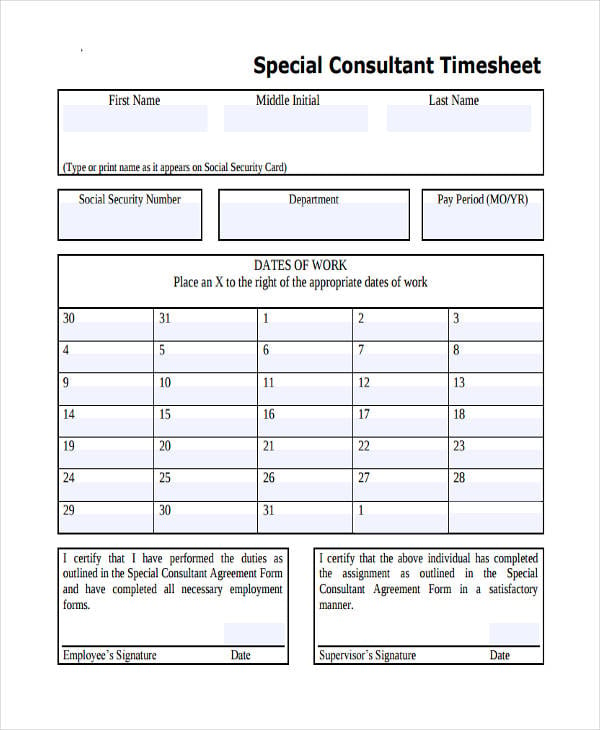 special consultant timesheet1