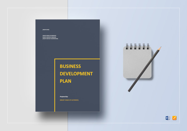standard business development plan template