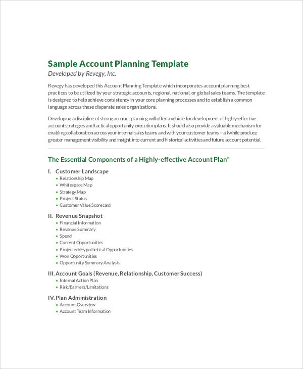 9-account-plan-templates-sample-example-word-google-docs-apple
