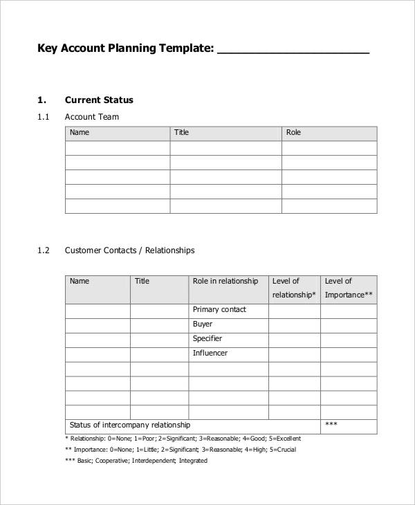 strategic key account plan