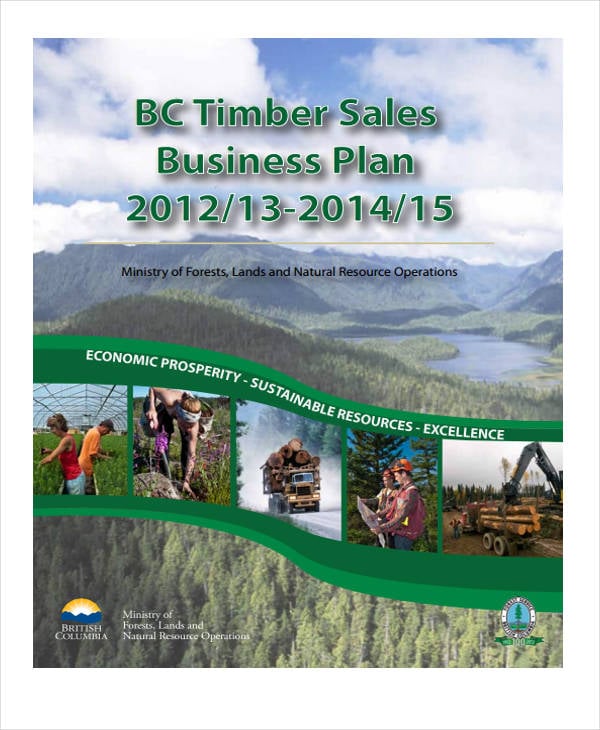 timber sales business plan