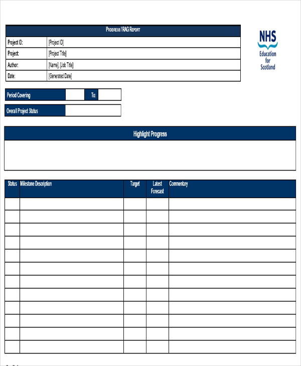 weekly project progress report