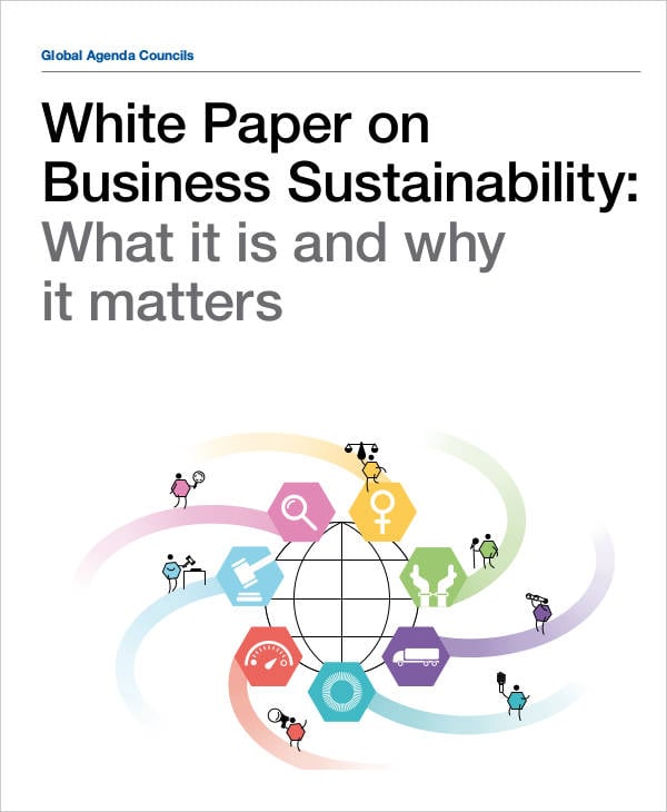 white paper on business sustainability