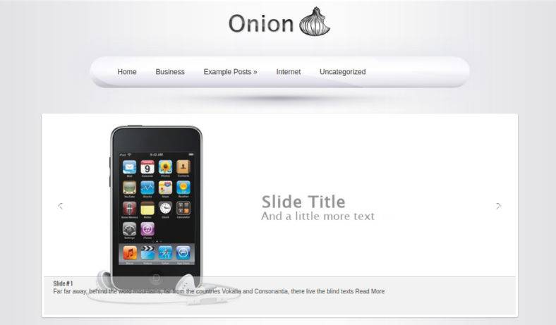 onion 788x461