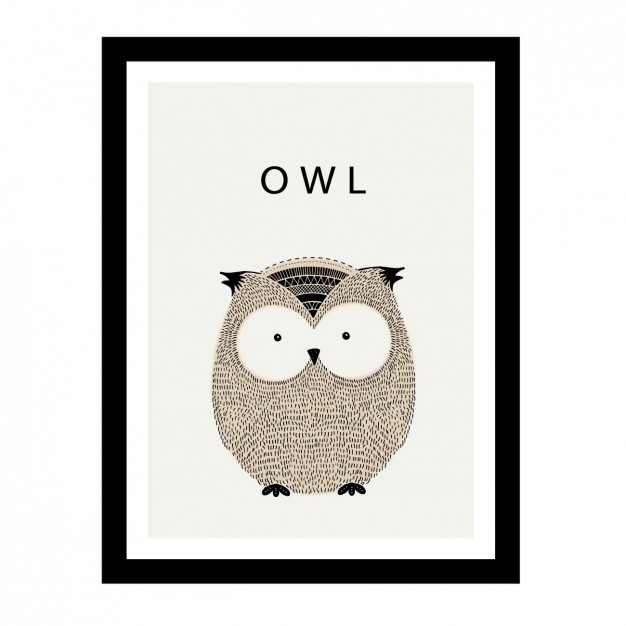 owl