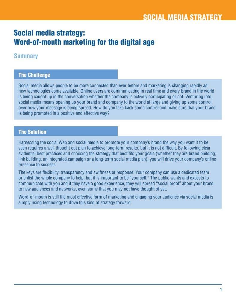 social media marketing plan pdf page 005 788x1020