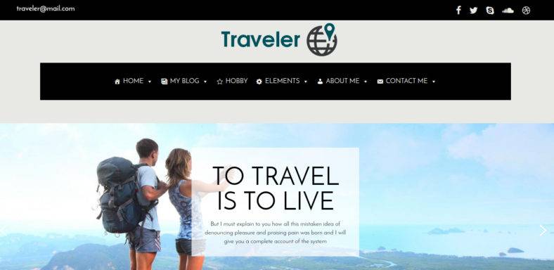 traveler-788x384