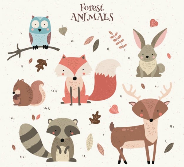 22+ Cute Animal Illustrations