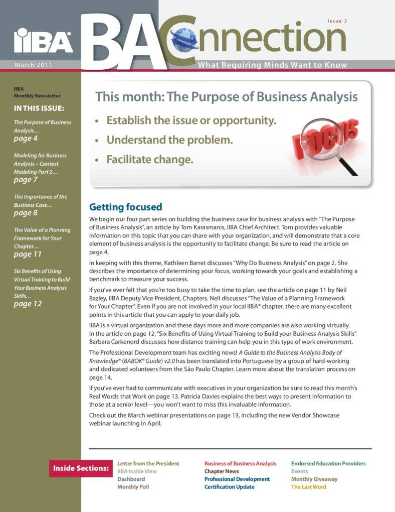 business analyst newsletter page 001 788x1020