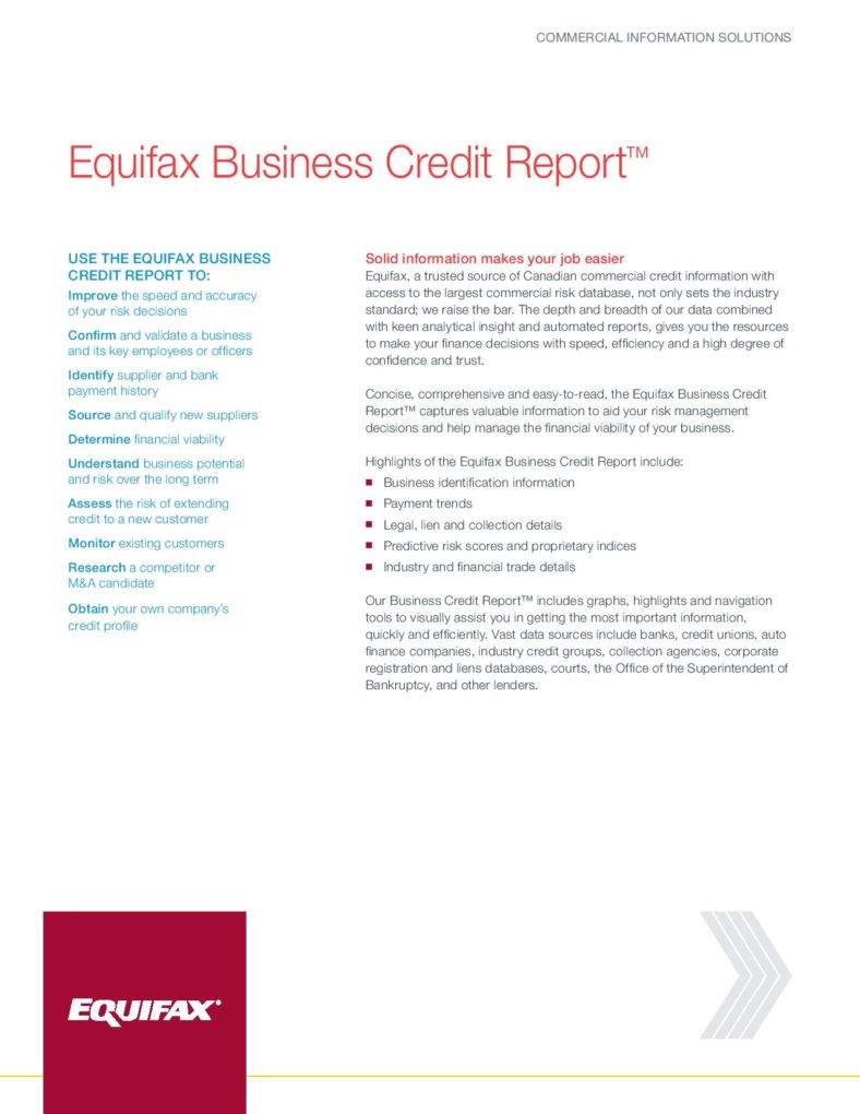 business credit report page 001 788x1020