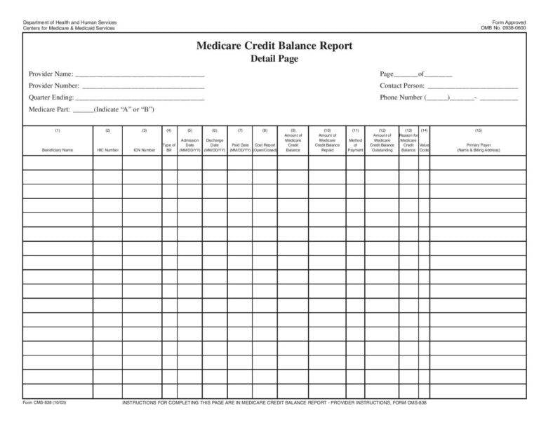 credit balance report template page 0021 788x60