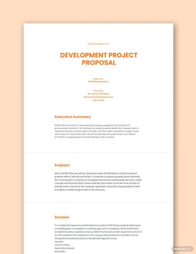 development project proposal template