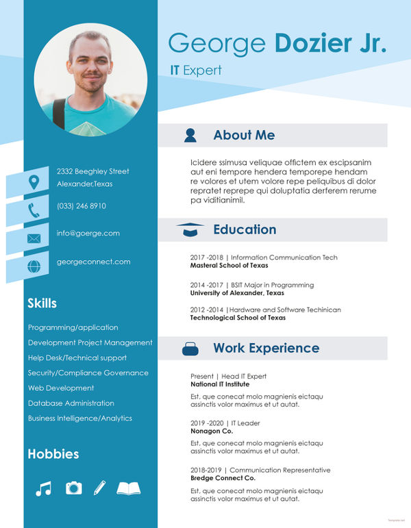 20+ IT Resume Templates in PDF