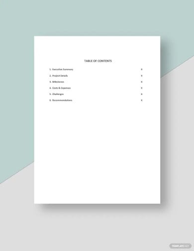 freelance project report template