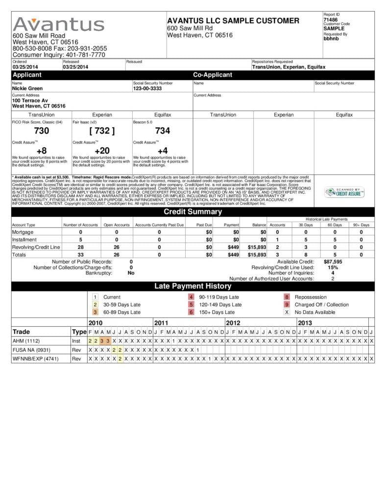 merged credit report template page 0011 788x1020
