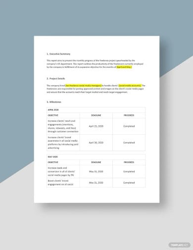 monthly freelance project report template