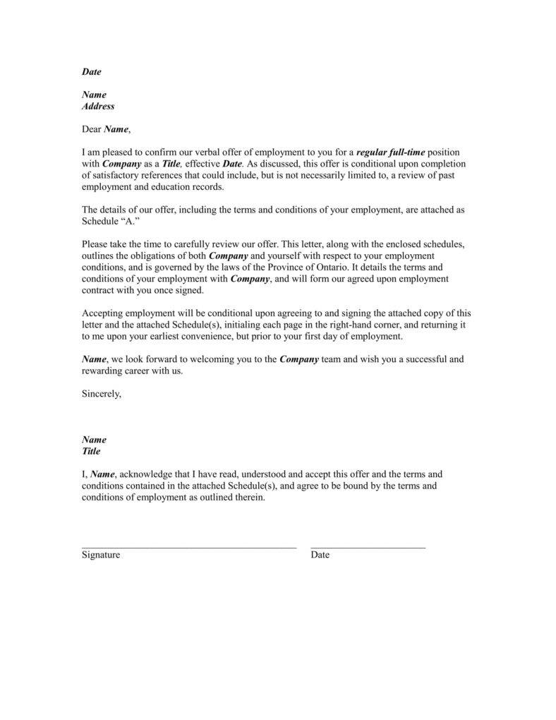 software company offer letter format 1 788x1020