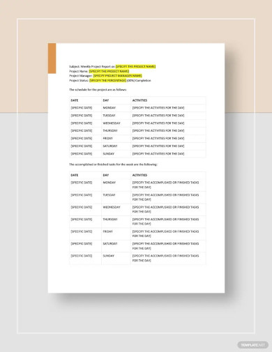 weekly project report template
