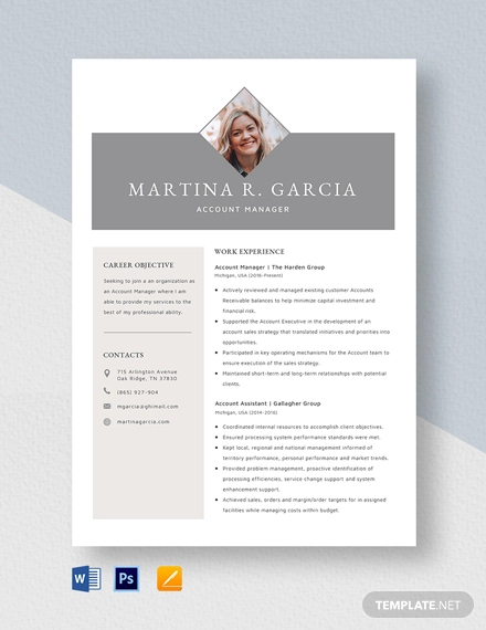 13+ Account Manager Resume Templates, Samples, Examples Format | Free