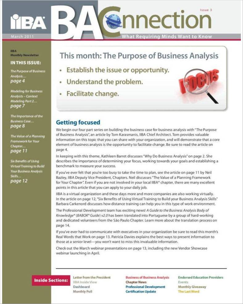 business analyst newsletter page 001 788x102056 788x