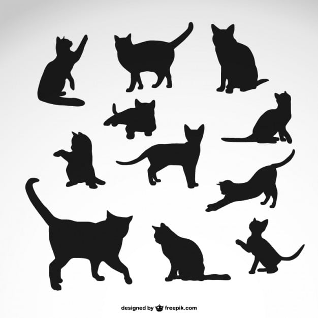 black cat silhouettes set